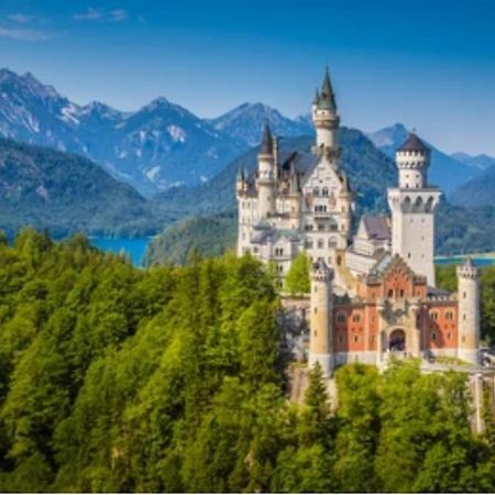 Ferienwohnung Weber Alpenveilchen Lechbruck Dış mekan fotoğraf